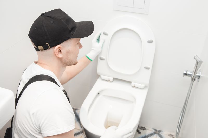 Toilet Repair
